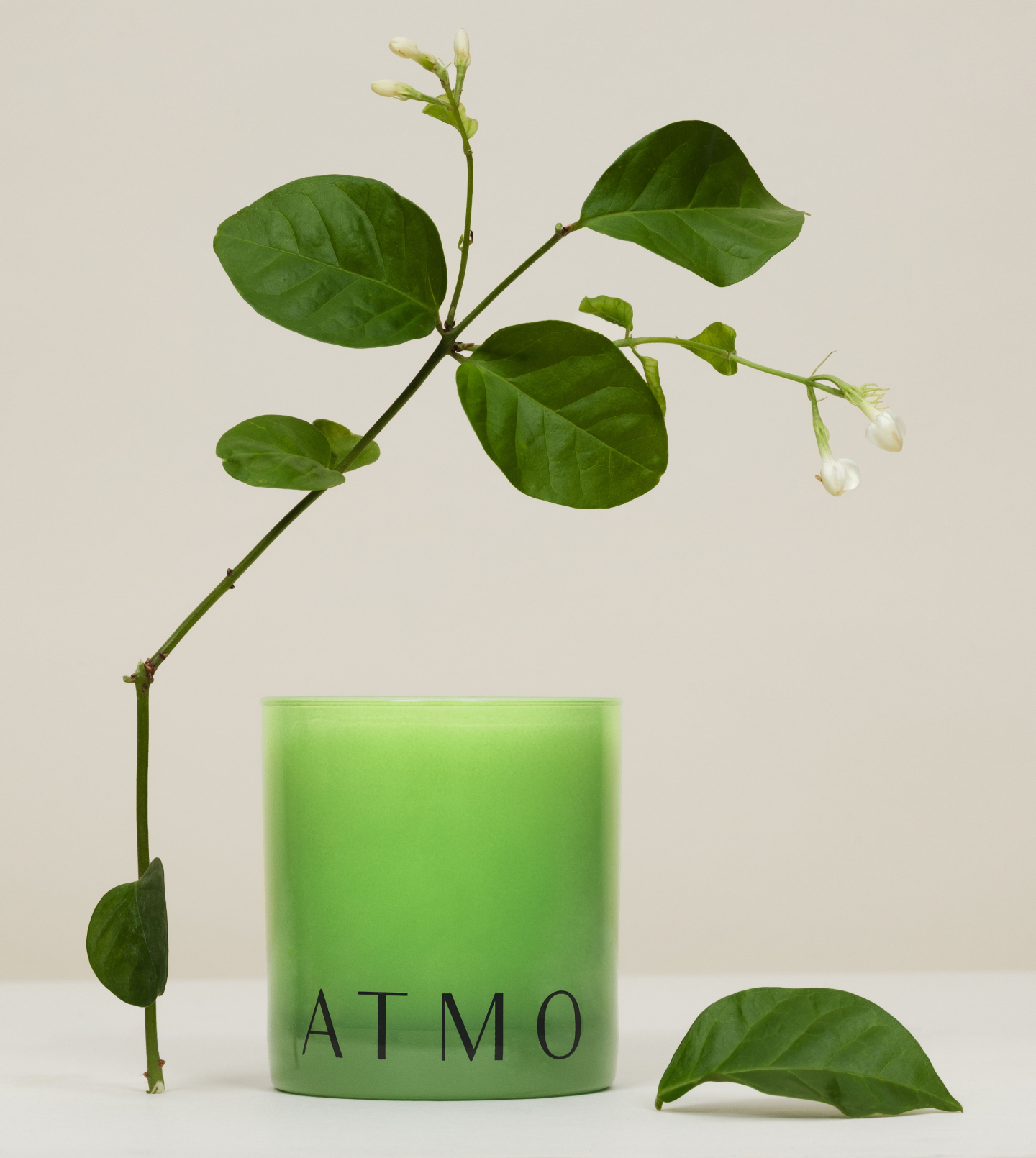 tobacco and vetiver candle Glass Cedarwood Jar 5.5oz poured using 100% premium soy wax Spiced Tobacco - Botanical Aromatherapy